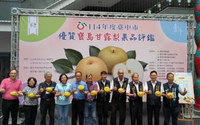 農友曾瑞東勇奪寶島甘露梨王!台中市寶島甘露梨果品評鑑結果揭曉