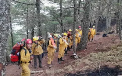 林火救災超前佈署,林業保育署南投分署辦理陸空吊掛訓練