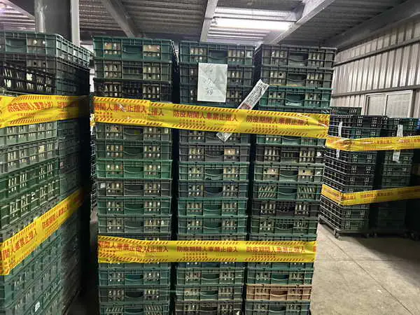 芬普尼蛋雞管制場複檢樣本再次檢出彰化縣政府立即啟動全面禁止移動管制與監測1