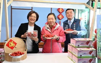 秀水鄉農會舉辦小果番茄評鑑頒獎並表彰優秀農民推廣地方農業文化