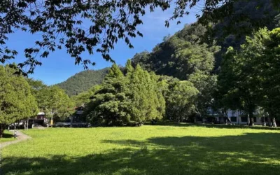 一趟旅程、雙重享受！9月住宿合歡山 即享奧萬大10元優惠入園