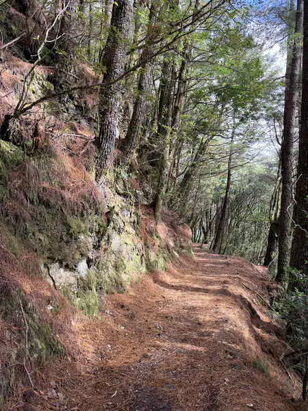 能高越嶺國家步道西段115年元旦起重新開放 登山口改為雲天宮線1