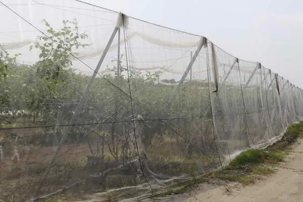 11月15日起天兔颱風或其外圍環流影響臺灣 農糧署籲請農友加強防範措施1