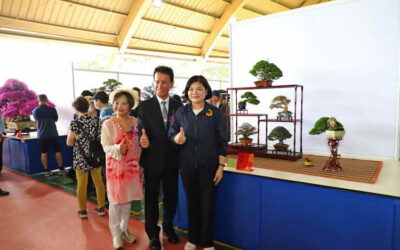 2023 雲林全國盆栽邀請展熱鬧開幕 上件百樹石盆栽創作驚豔全場