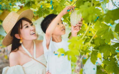 2023台北國際旅展 農業旅遊、農村遊程伴手樂活購