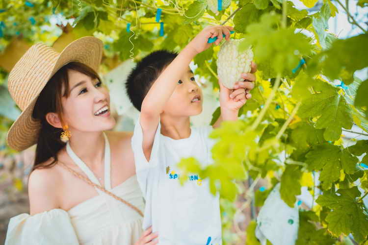 2023台北國際旅展 農業旅遊、農村遊程伴手樂活購1