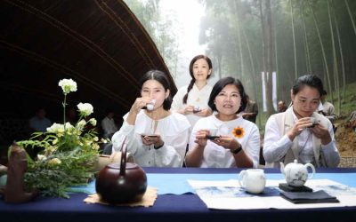 2023草嶺石壁森林療癒祭開放報名中 張麗善縣長廣邀民眾 踏香旅行走進山林