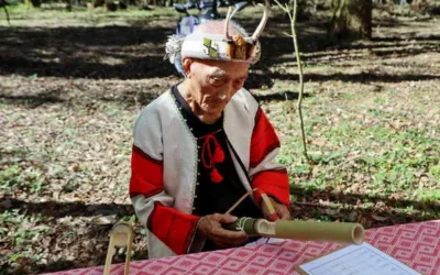 2025奧萬大部落楓采 草地野餐音樂會 盛大登場!