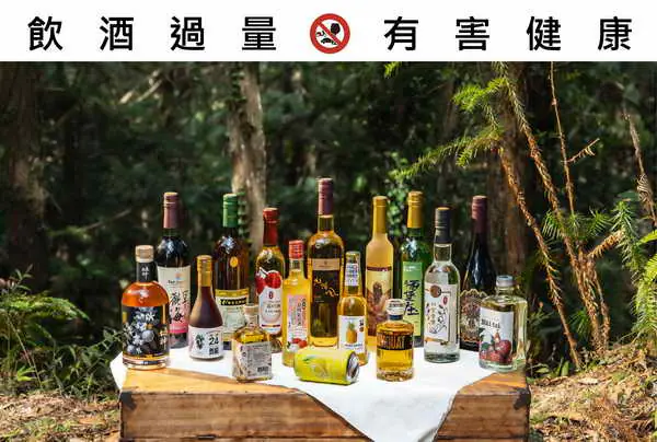 2025臺灣醞釀