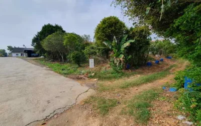 交通專案不只查車也查房地 彰化分署9月聯合拍賣強力追欠建地、農地及住宅區都有 20萬元起歡迎民眾一起實現正義