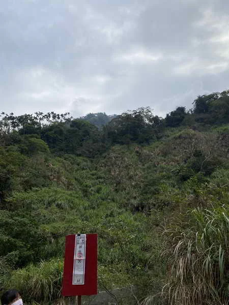 想找建地、農地還是林地？ 彰化分署10月法拍一次備齊  多名交通專案義務人不動產登場 不同預算各有選擇