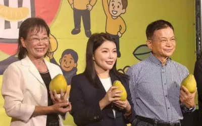 替農通路 張嘉郡推廣斗六文旦 籲全國民眾支持農民
