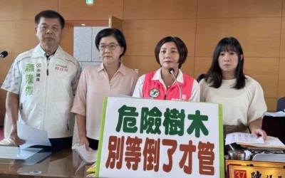 樹倒才處理太慢!市議員陳雅惠促中市府全面盤點高風險樹木