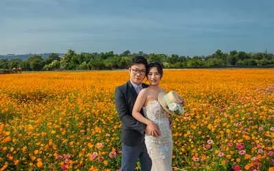 2026台中國際花毯節開放婚紗拍攝及預約導覽 晨昏花海留下幸福回憶