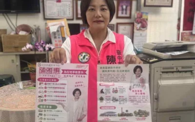 下屆東南區議員少一席 陳雅惠恐面臨連任挑戰