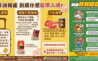 非洲豬瘟罰鍰一欠多年　彰化分署強力執行終全數徵起  展現執行決心  守護我國畜牧產業與防疫安全