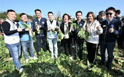 「2026芬響農食典白寶玉出土記」熱鬧登場 千人齊聚芬園體驗拔蘿蔔