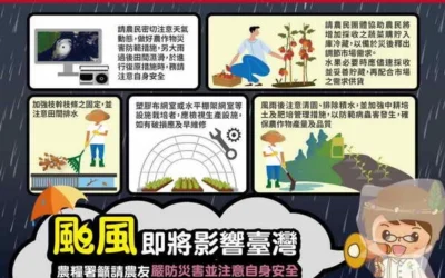 紅霞颱風24日起影響臺灣 農糧署籲請農友注意安全及加強防範措施