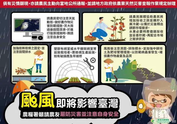 紅霞颱風24日起影響臺灣 農糧署籲請農友注意安全及加強防範措施
