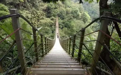 受災復建休園中的竹山天梯明年3月重新開放