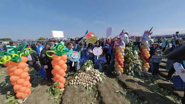 台電80員眷拔蘿蔔馬上好采頭挺青農1