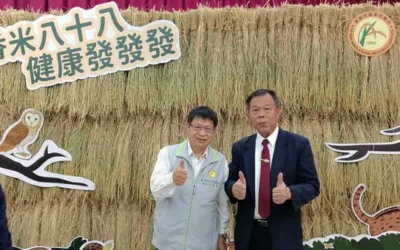 台農88號 香米 耐熱省水  智慧監測打造永續稻作
