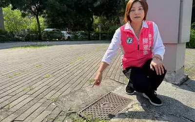 台中半年99件國賠案 坑洞 路樹最常出事 陳雅惠促積極改善