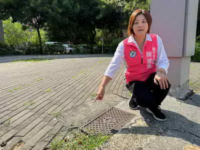 台中半年99件國賠案 坑洞 路樹最常出事 陳雅惠促積極改善1
