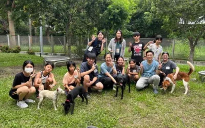 「謝謝你，療癒了我！」2026療癒犬夏令營成果發表　孩子與收容犬雙向陪伴共成長