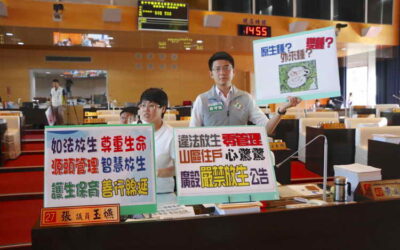 中市議員張玉嬿、黃守達、謝志忠、王立任質詢指出:太平區山上住戶發現今年的蛇特別多