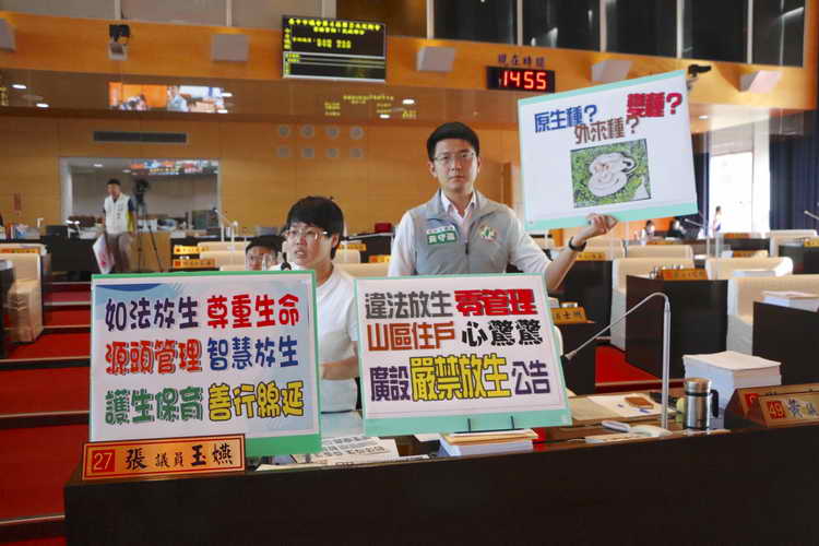中市議員張玉嬿