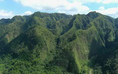 九九峰自然保留區稀有植物天堂