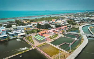 住海邊練功去! 永安青創聚落共好理念獲優良農建肯定