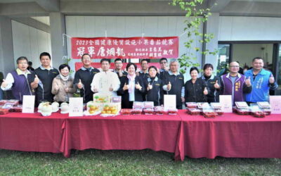 全國冠軍小果番茄在彰化開園