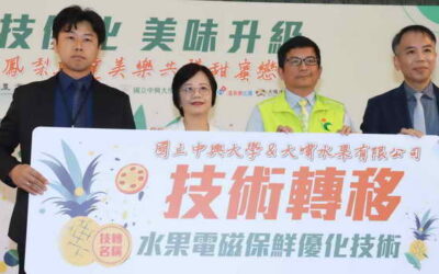 冷鏈加工全面升級 臺灣金鑽鳳梨開創外銷新商機