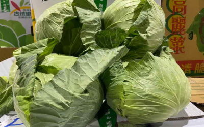 凱米颱風陸上警報發布 農糧署持續關注蔬菜供應價量適時調節 請消費者放心