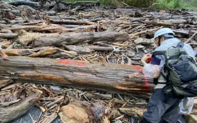 凱米颱風雖然走了,南投、雲林、彰化縣內撿拾漂流木先請緩緩