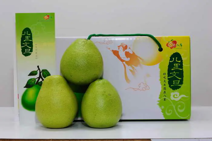 北部地區文旦柚採果季開始 當季鮮果應景上市1