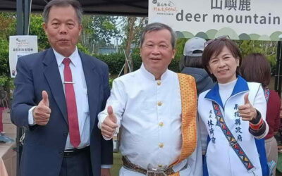 南投縣長許淑華身穿奧黛走秀SHOW文化 宣示當新住民靠山