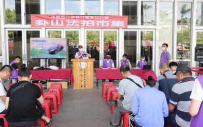 卦山法拍市集茶葉護膝最熱銷 社頭廠房多位老闆來搶標