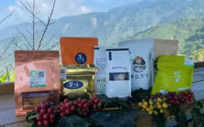 古坑美景佳咖啡 遊玩品嘗樂相隨