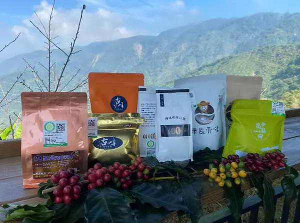 古坑美景佳咖啡 遊玩品嘗樂相隨1