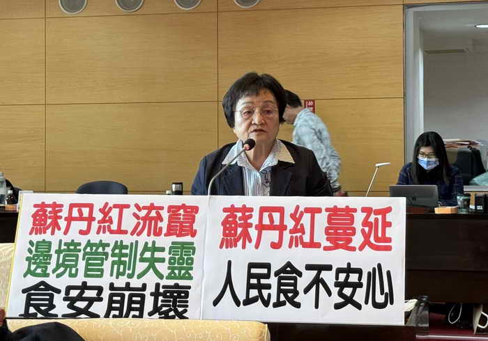 台中市議會臨時會專案報告