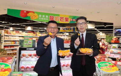 台灣職農之光 頂級龍蝦芒果限量上市 農糧署輔導智慧化農業受日本市場肯定