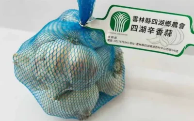 國產大蒜正值盛產 新鮮風味優先選購