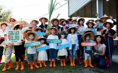 埔里農會茭點女神系列推廣活動 許縣長體驗茭白筍採收