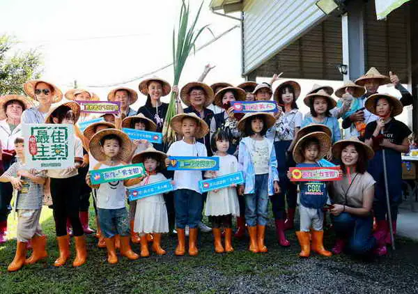 埔里農會茭點女神系列推廣活動 許縣長體驗茭白筍採收1