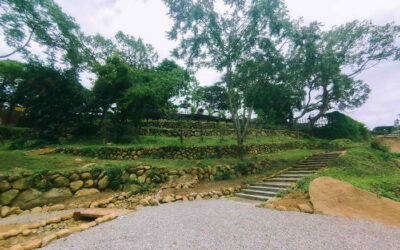 大自然就是我的教室 華南社區校園無邊界 里山和諧自然公園獲金質榮耀