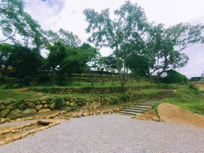大自然就是我的教室 華南社區校園無邊界 里山和諧自然公園獲金質榮耀1