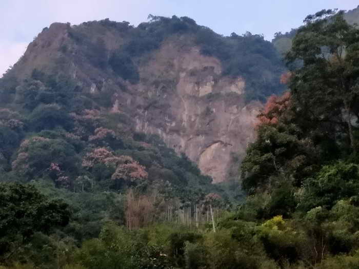 天山梅花聖大聖會 歡迎全國友宮道長 師姑十方大德共辦聖事1